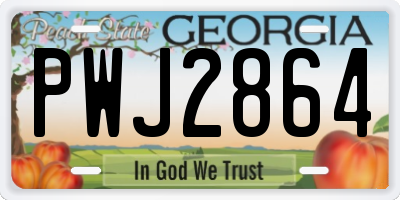 GA license plate PWJ2864