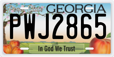 GA license plate PWJ2865