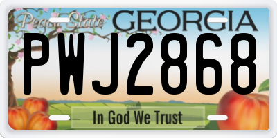 GA license plate PWJ2868