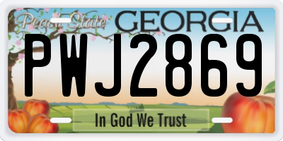 GA license plate PWJ2869