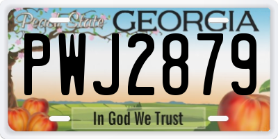 GA license plate PWJ2879