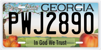 GA license plate PWJ2890