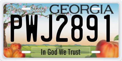 GA license plate PWJ2891
