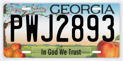 GA license plate PWJ2893