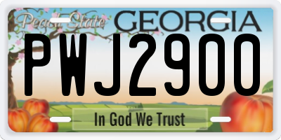 GA license plate PWJ2900