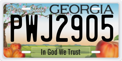 GA license plate PWJ2905