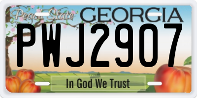 GA license plate PWJ2907