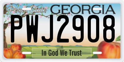 GA license plate PWJ2908