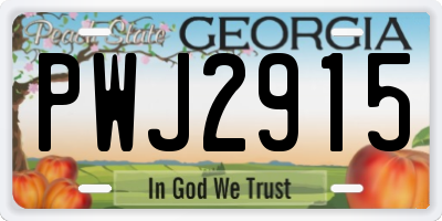 GA license plate PWJ2915