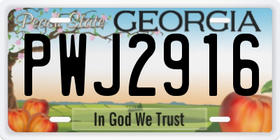 GA license plate PWJ2916