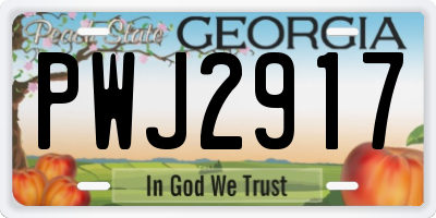 GA license plate PWJ2917
