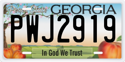 GA license plate PWJ2919