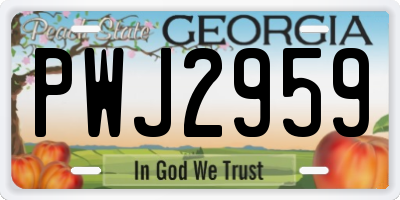 GA license plate PWJ2959