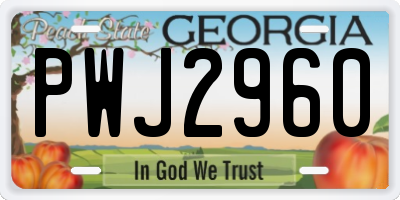 GA license plate PWJ2960
