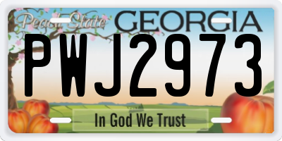 GA license plate PWJ2973