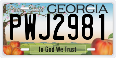 GA license plate PWJ2981