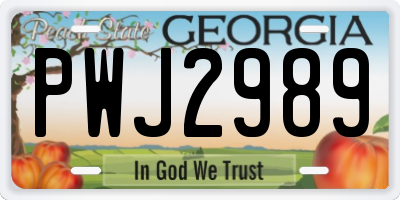 GA license plate PWJ2989