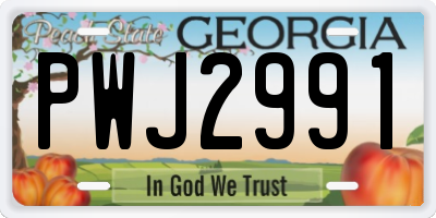 GA license plate PWJ2991