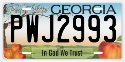 GA license plate PWJ2993