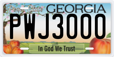 GA license plate PWJ3000