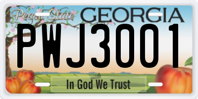 GA license plate PWJ3001