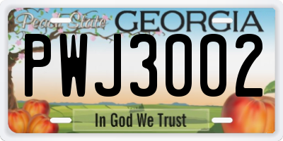 GA license plate PWJ3002