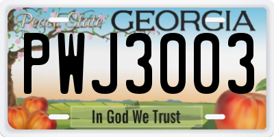 GA license plate PWJ3003