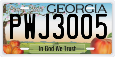 GA license plate PWJ3005
