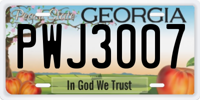 GA license plate PWJ3007