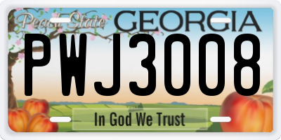 GA license plate PWJ3008