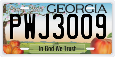 GA license plate PWJ3009