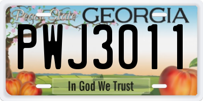 GA license plate PWJ3011