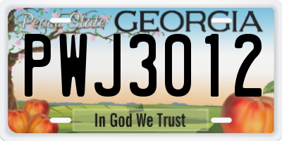 GA license plate PWJ3012