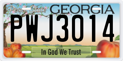GA license plate PWJ3014