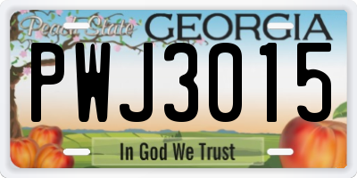 GA license plate PWJ3015