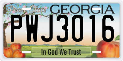GA license plate PWJ3016