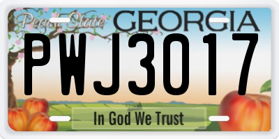 GA license plate PWJ3017