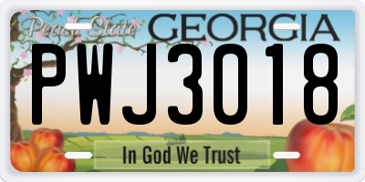 GA license plate PWJ3018