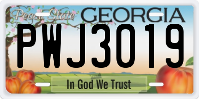 GA license plate PWJ3019
