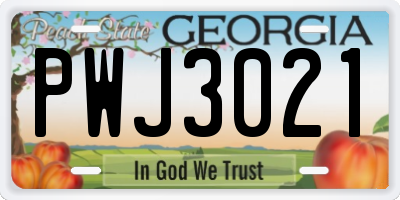 GA license plate PWJ3021