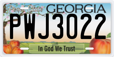GA license plate PWJ3022