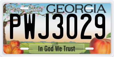 GA license plate PWJ3029
