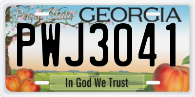 GA license plate PWJ3041