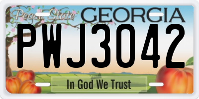 GA license plate PWJ3042