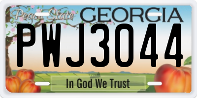 GA license plate PWJ3044