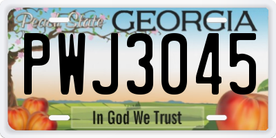GA license plate PWJ3045