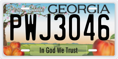 GA license plate PWJ3046