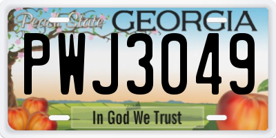 GA license plate PWJ3049