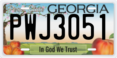 GA license plate PWJ3051