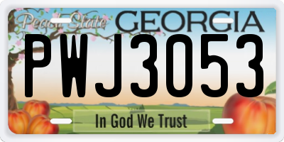 GA license plate PWJ3053